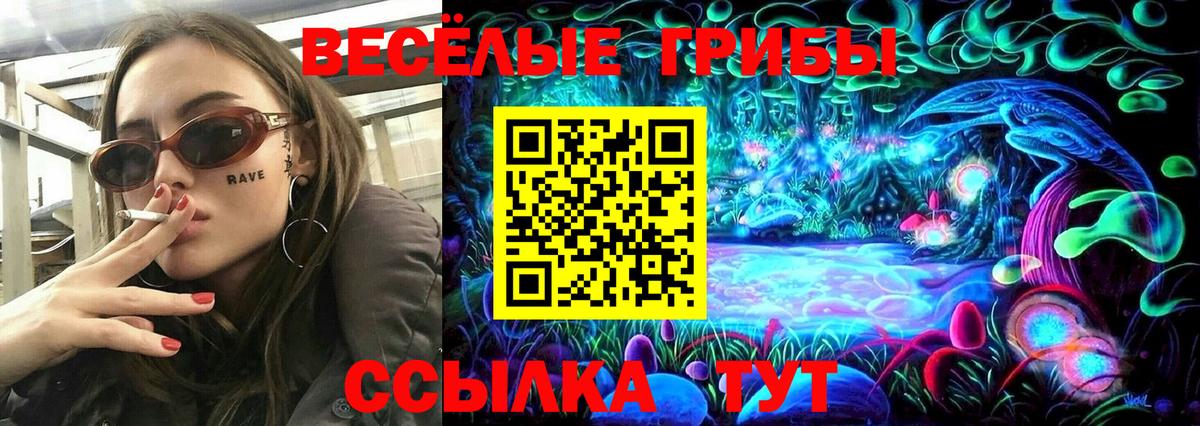 Щёлково  Галлюциногенные грибы Magic Shrooms  Вход с VPN 